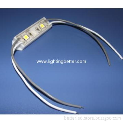 BETTER LED 2leds module with plastic cover